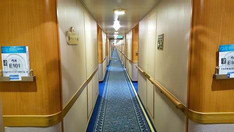 Big corridors.
