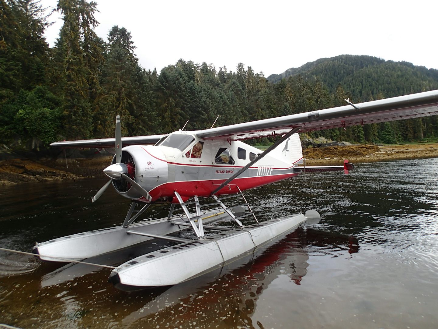 Arriving at Anan Creek via float plane.