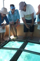 Glass bottomed boat excursion in the Bahamas.