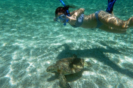 Nassau swimming with the turtles on Bahama boat tour with Capt Carl