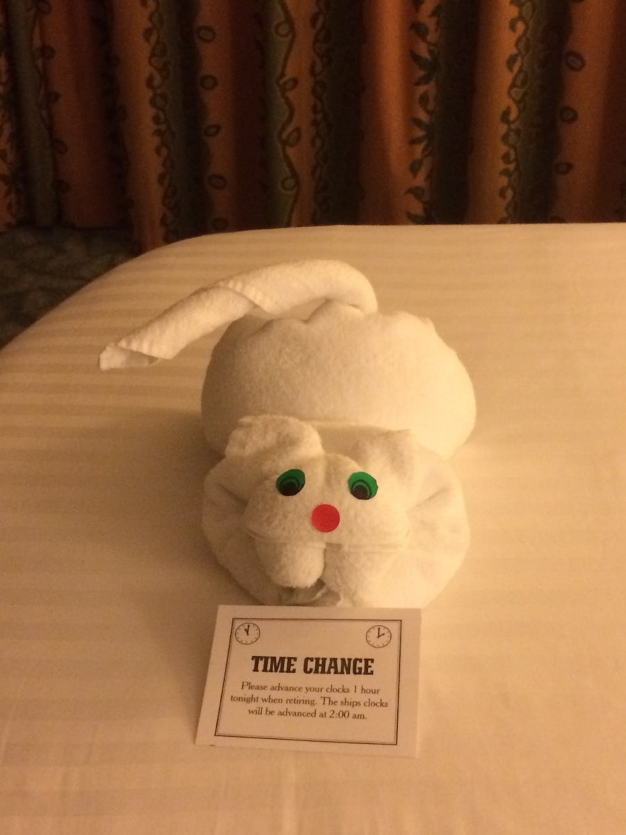 Doesn't everyone love the towel animals?