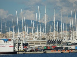 A forest of masts in the harbor of Palma de Mallorca, Balaearic Islands