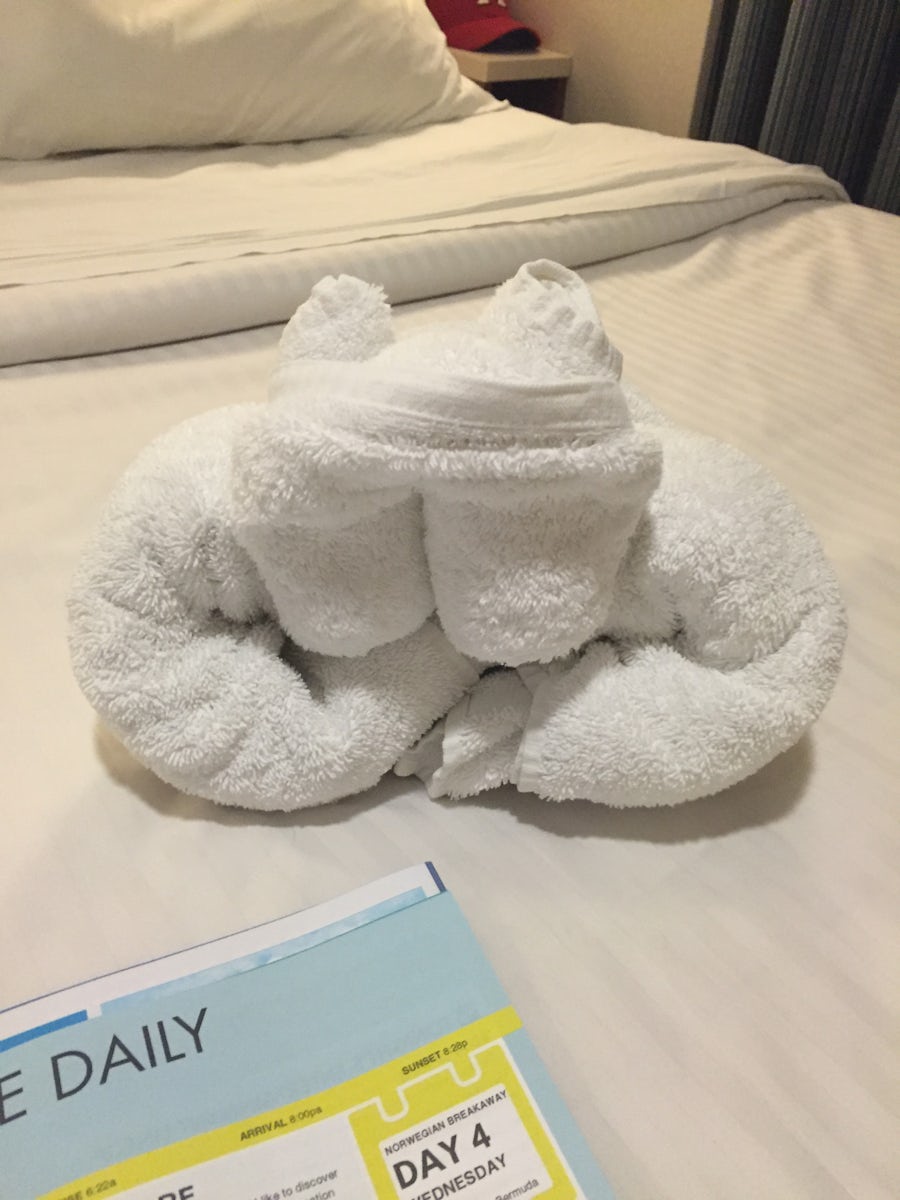 Towel frog in room at night