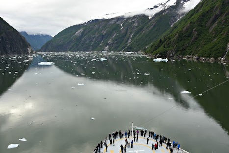Sailing Tracy Arm Fjord (one of the highlights of the trip)