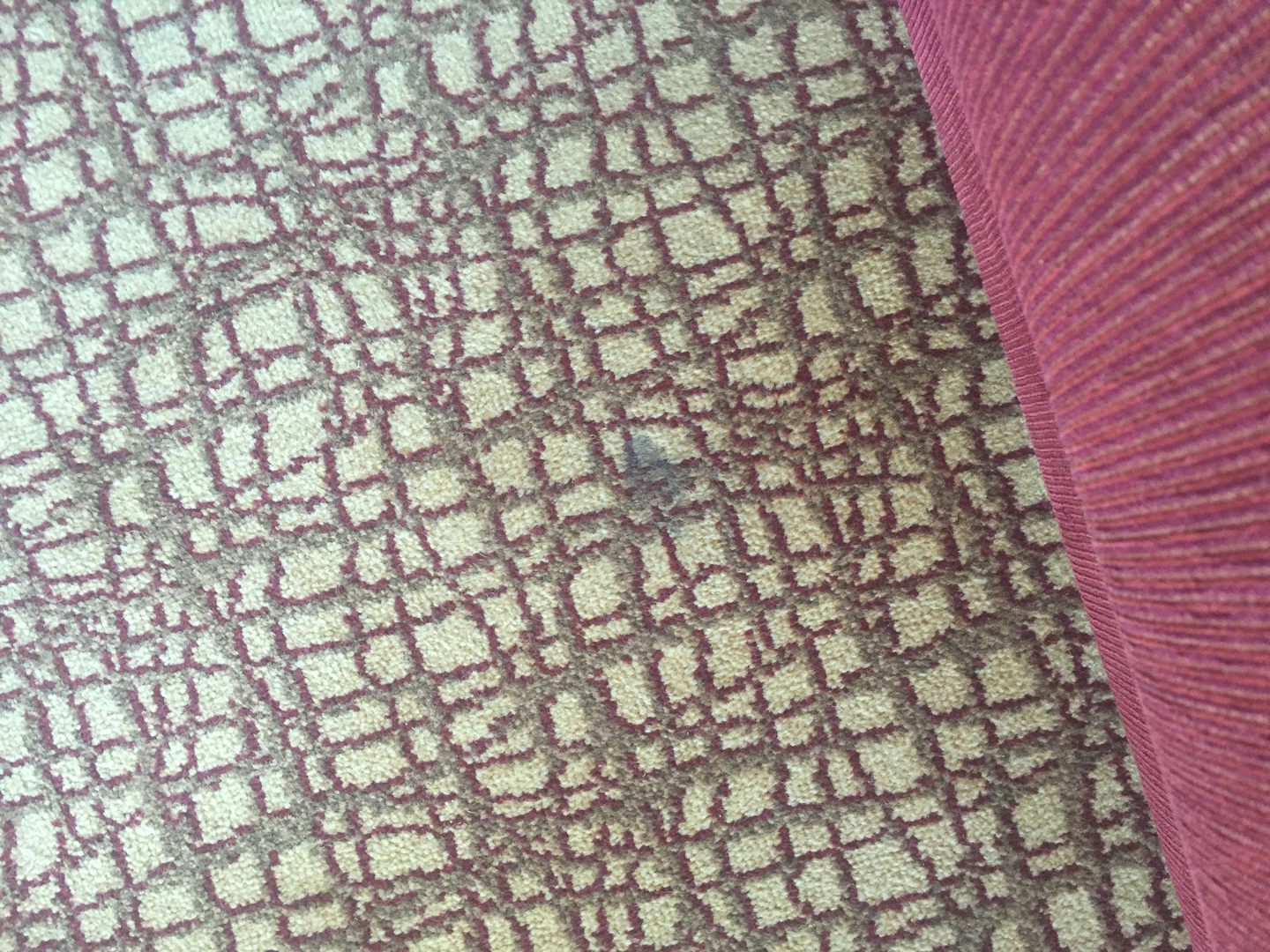 Stain on carpet