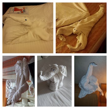 Our cabin Stewart John left us little friends each day with his creative towel animal friends. It was always a treat to see what new animal would greet us after dinner with our daily ship news for the following day.