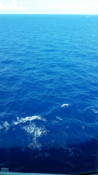 Beautiful dark blue water.