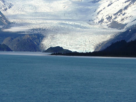 Scenic cruising.  This is College Fjord and one of its many glaciers.
