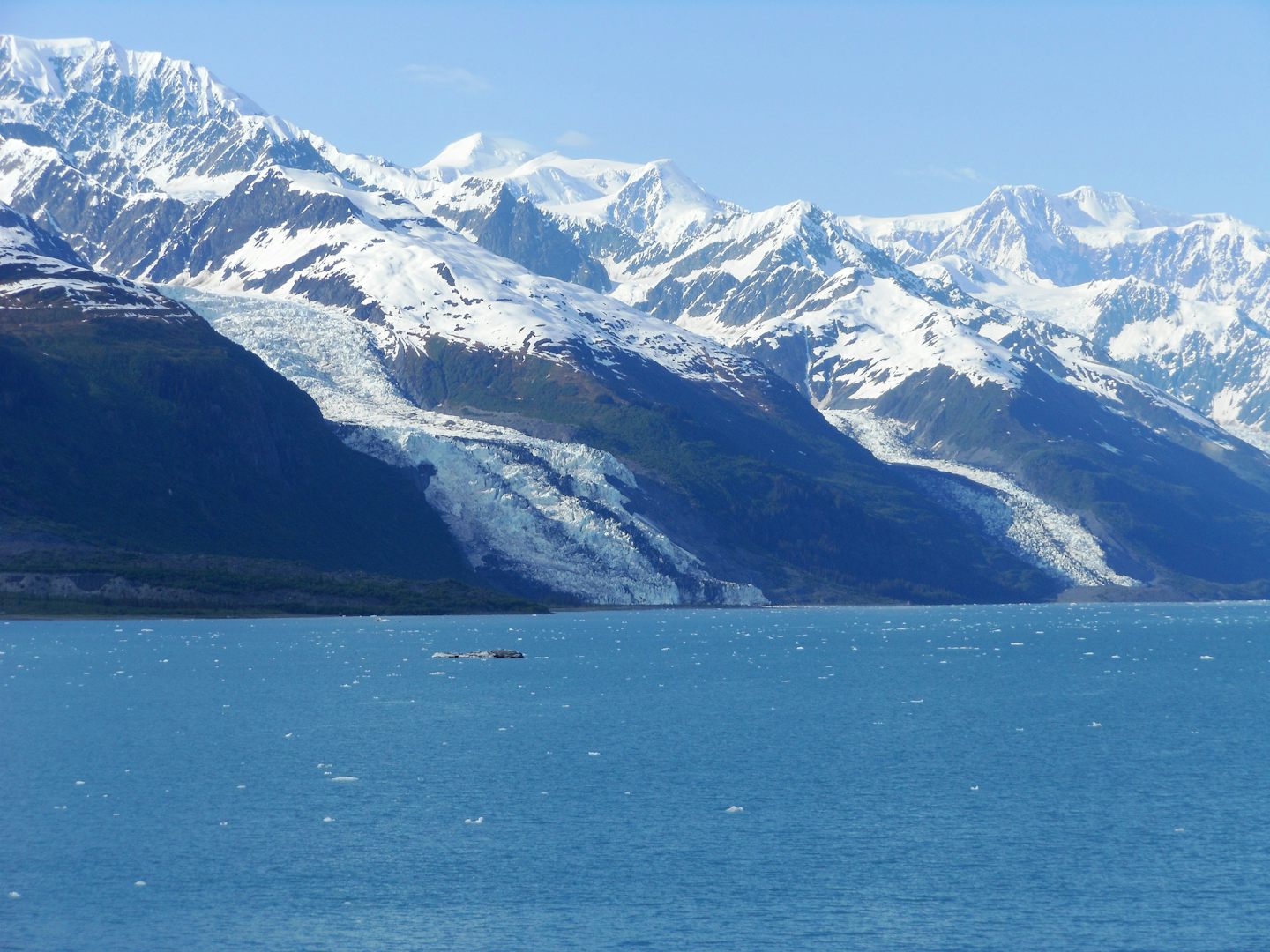 Scenic cruising.  This is College Fjord and two glaciers side by side.