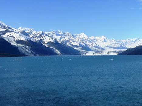 Scenic cruising.  This is College Fjord and at least three glaciers side by