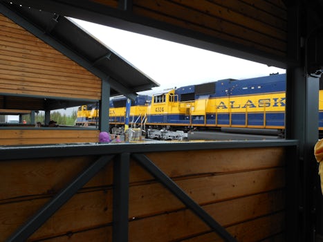 Land Tour continues.  We motor-coached 3.5 miles to the Alaska Railroad Dep
