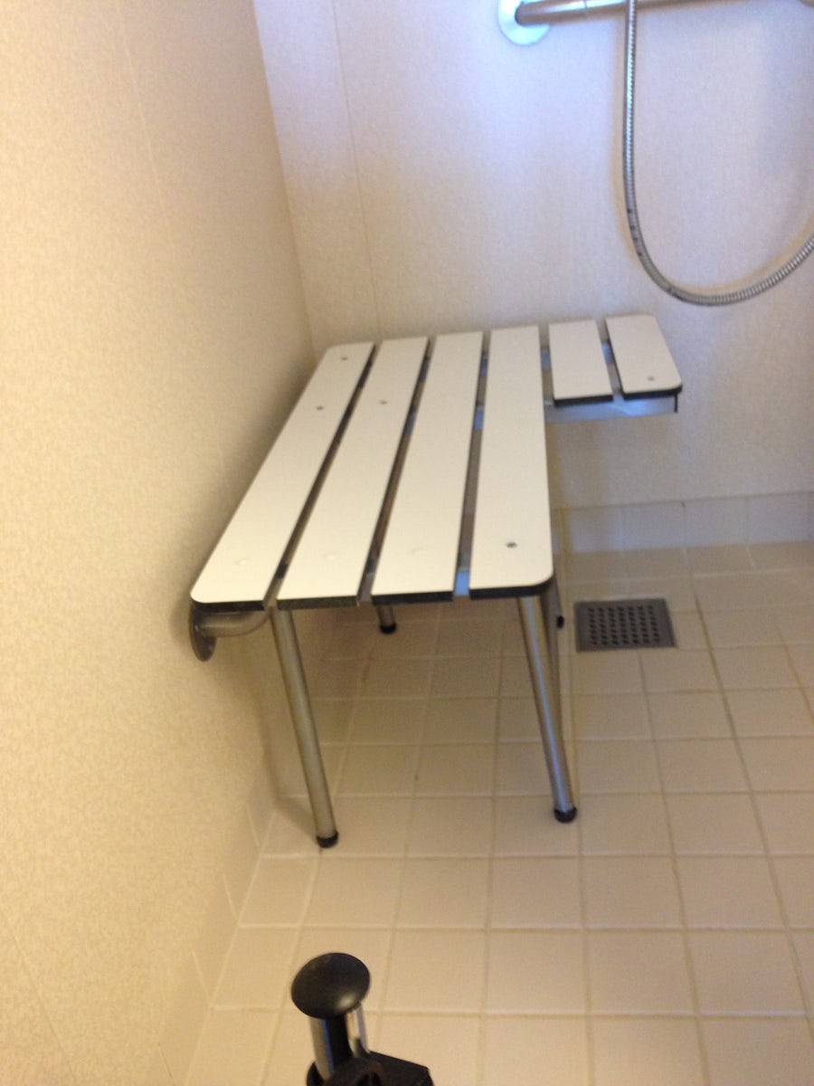Handicap shower bench and roll in shower