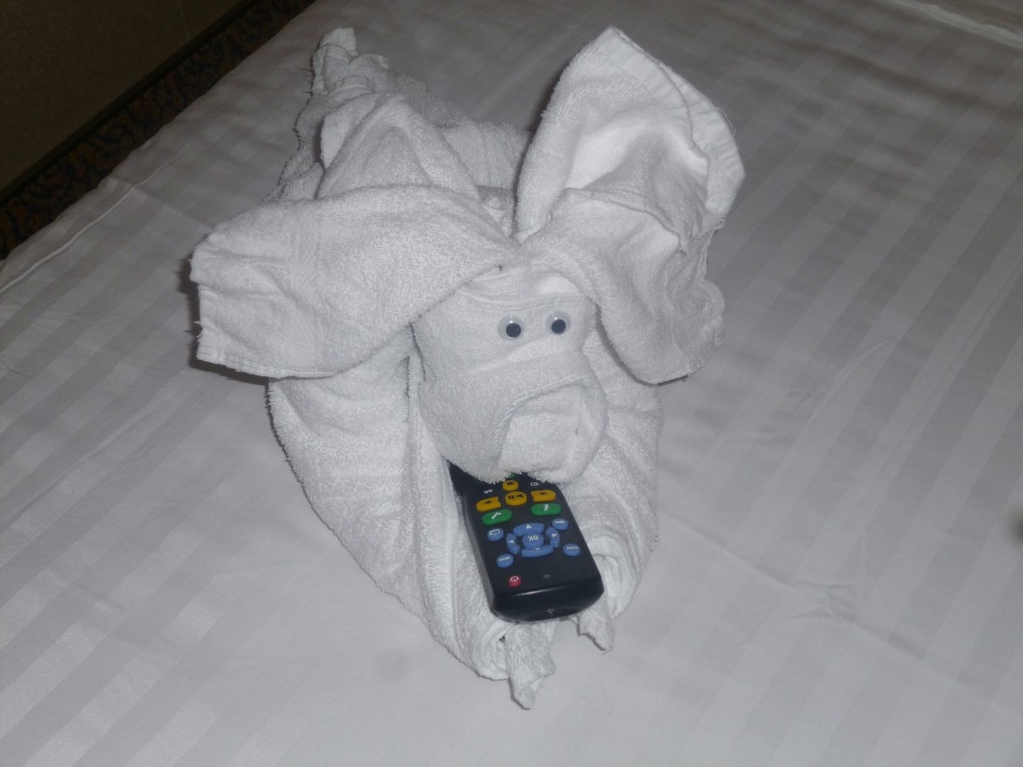 A Towel animal