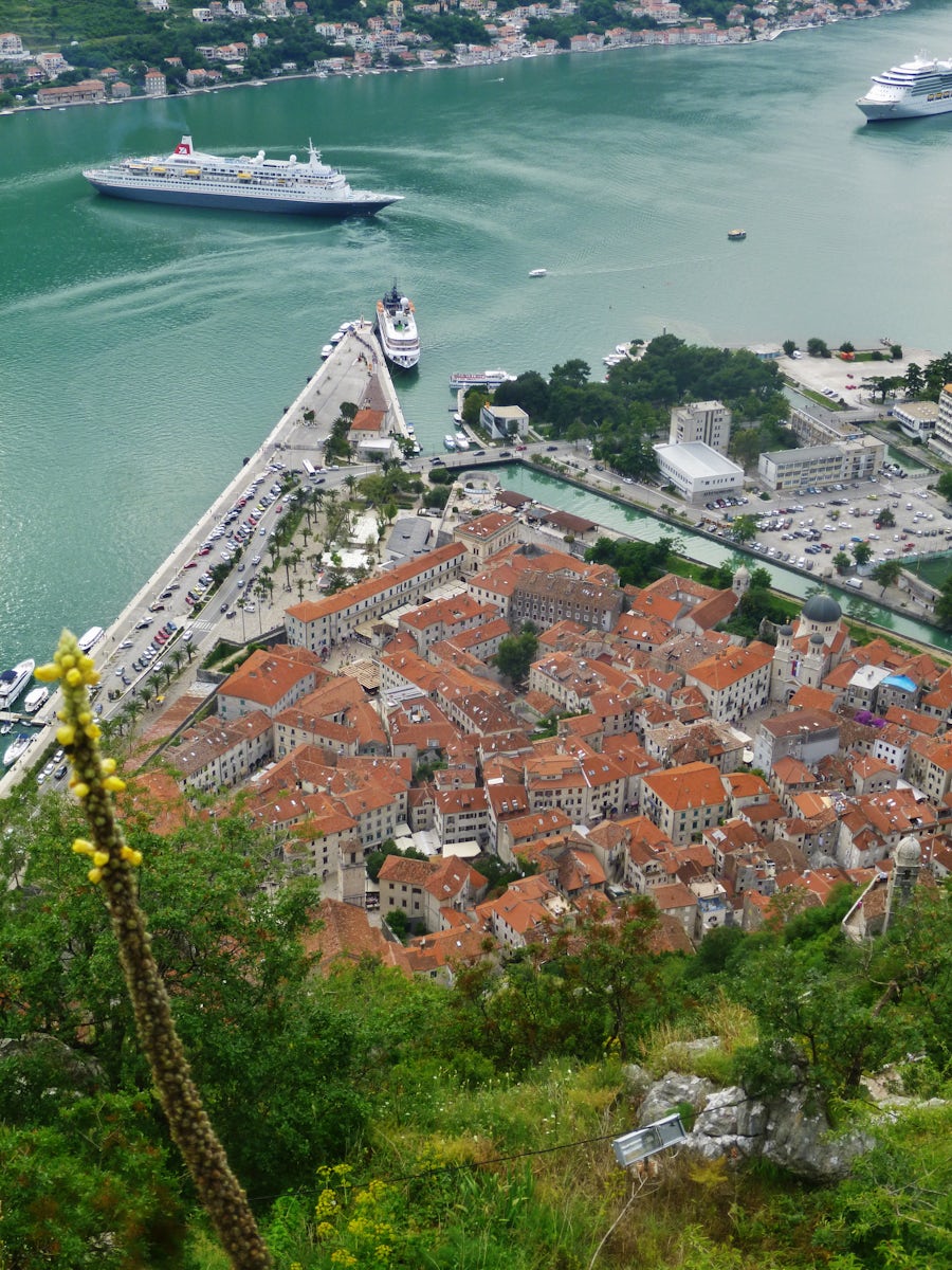 View of Kotor from fort - after walking the 1700 steps. And worth it!