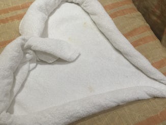 Stains on the towels