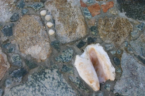 Shells embedded in granite wall at Coral World, St. Thomas