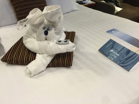 One of our favorite towel animals.