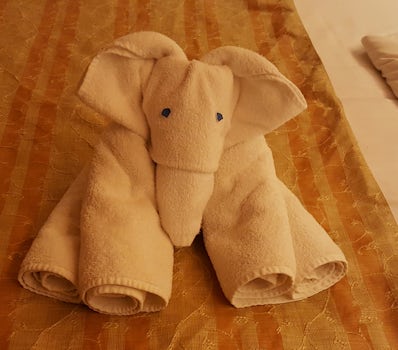 the towel elephant