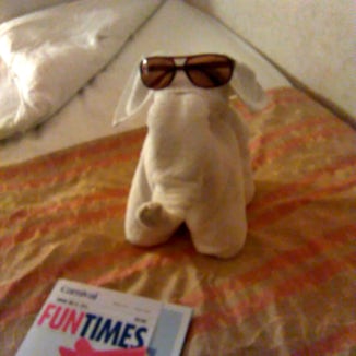 one of my towel animals in my room