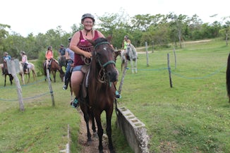 My horse in Belize, Black Dice