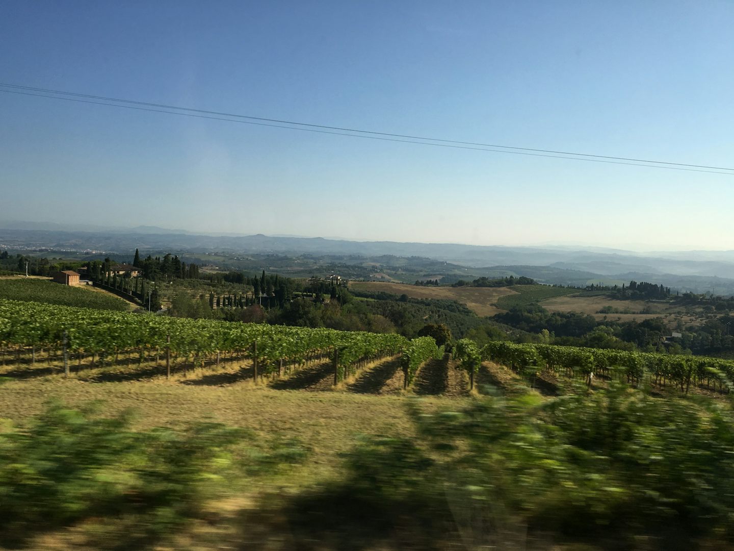 Driving thru Tuscany! Wine vineyards