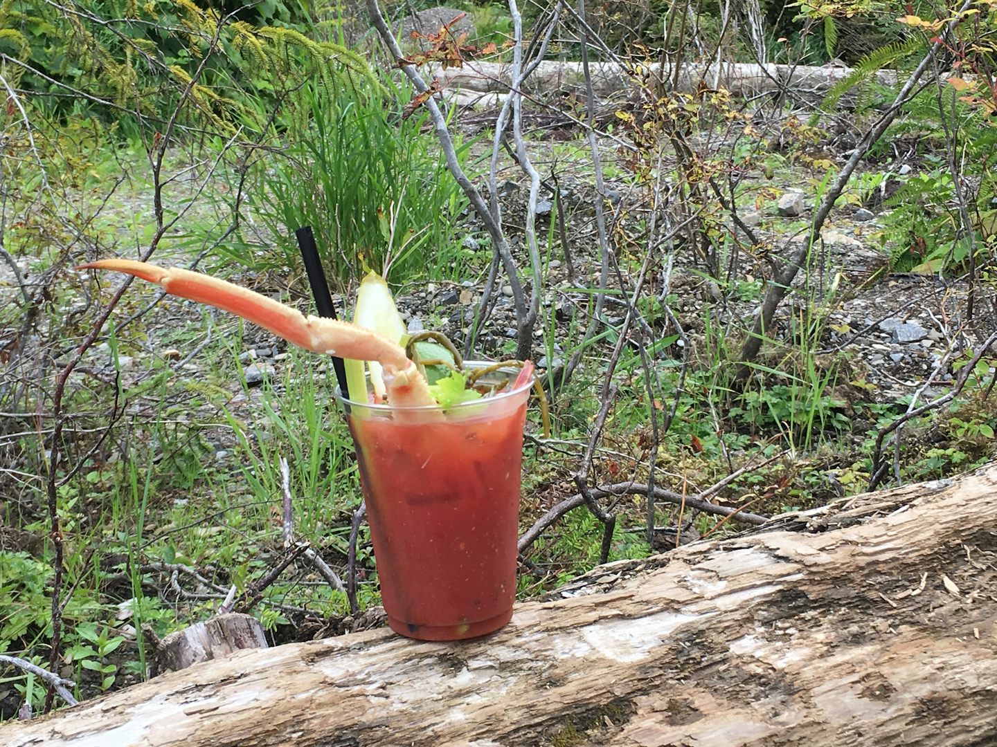 Crabby Bloody Mary
