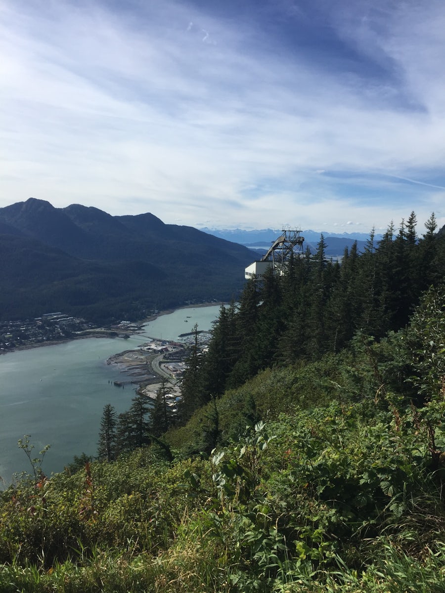 View of Juneau from top of the tram.