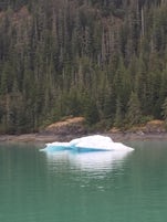 Floating ice on the way to Glacier Bay