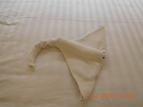 Towel animal left on bed at night on Maasdam
