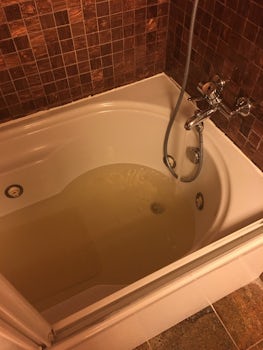Nasty brown poo water coming out of the faucet in the broke water jet tub