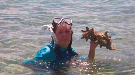 Finding conch shells (nonliving) off Grand Turk