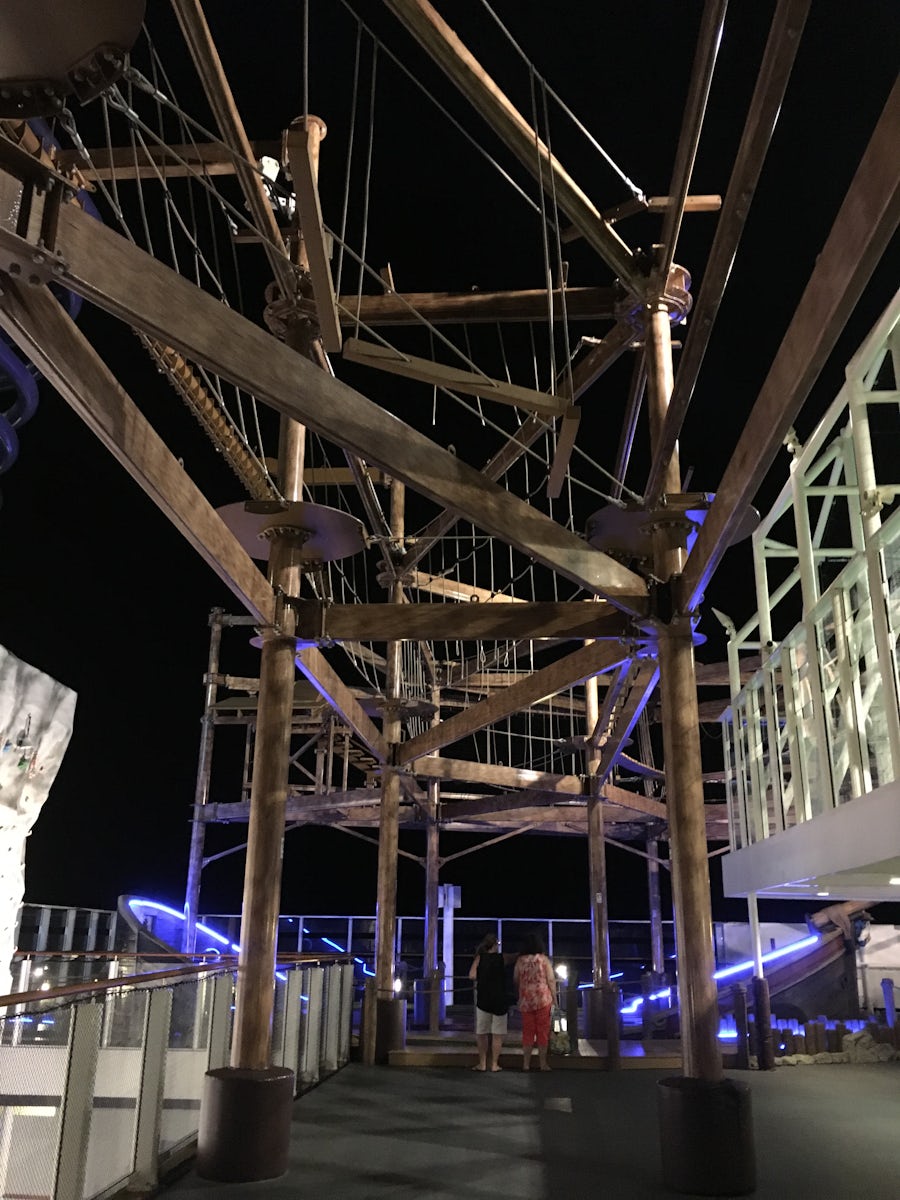 Part of the ropes course above deck 16. The upper half of the rock wall is