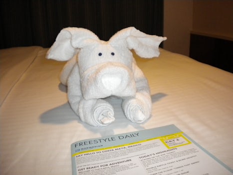 these towels animals magically appeared every night to welcome us back to t