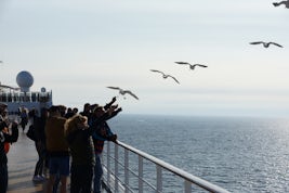 Leaving Helsinki, feeding the seagulls
