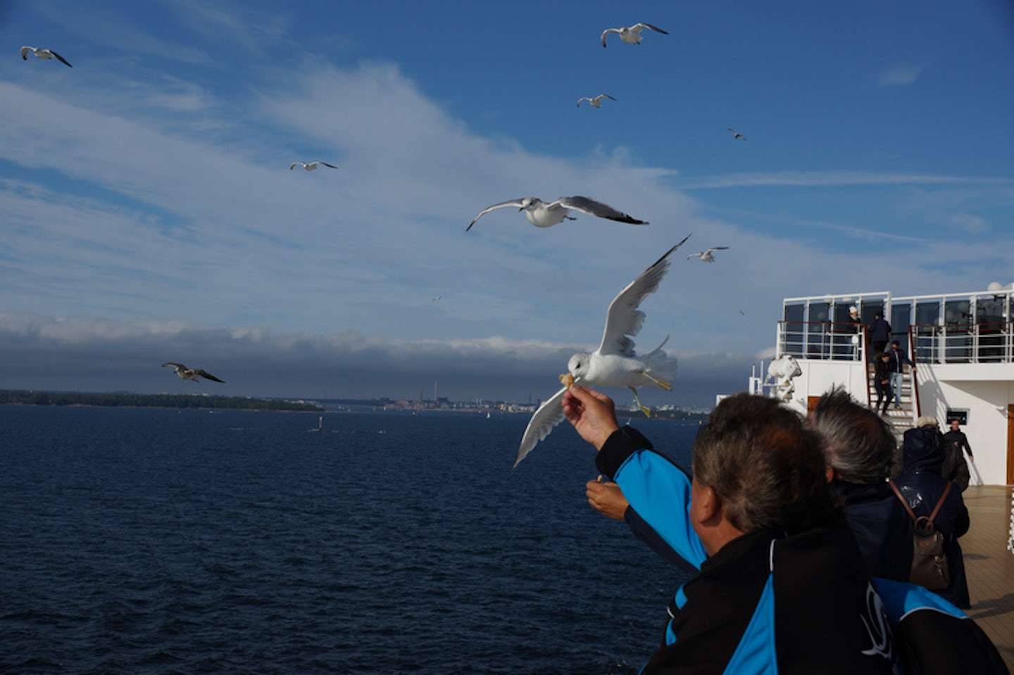 Leaving Helsinki, feeding the seagulls