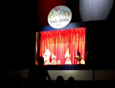 The Towel Animal Theater - a really cute production highlighting the variou