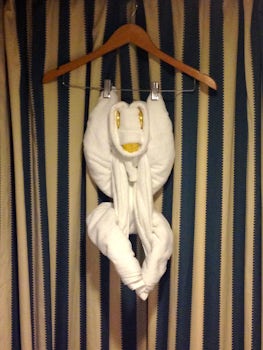 Towel Art - Different one each night