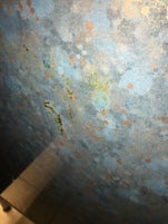 This is a faecal smear on one of the toilets near the main lounge that we f