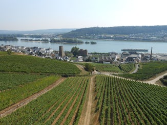 View from chairlift in Rudesheim