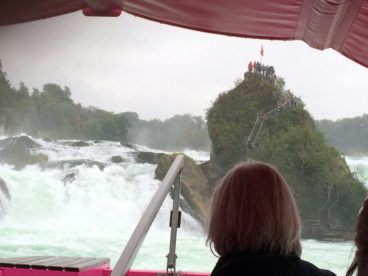 Rhine Falls Excursion
