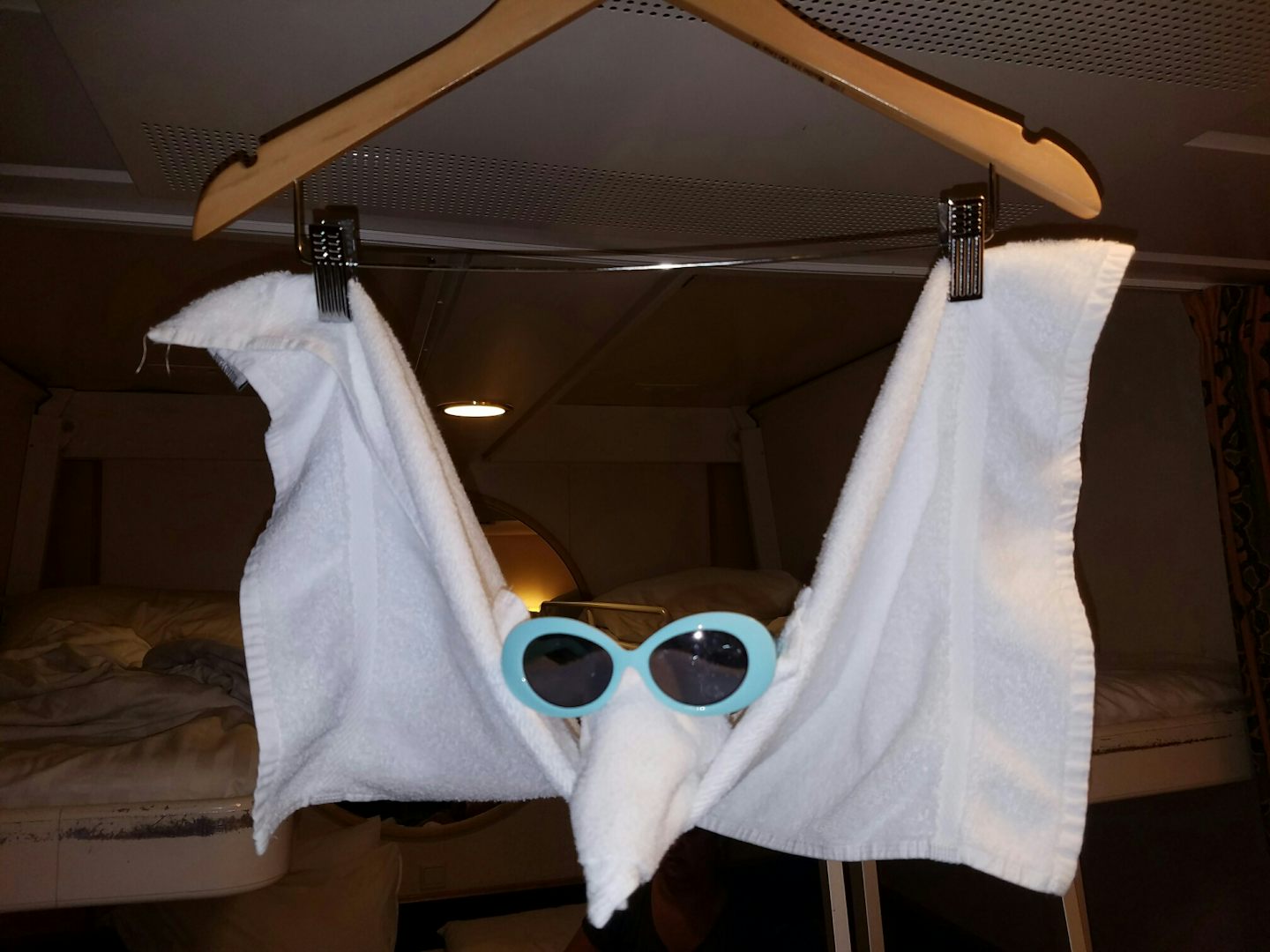 One of Many Towel Decorations left in our stateroom