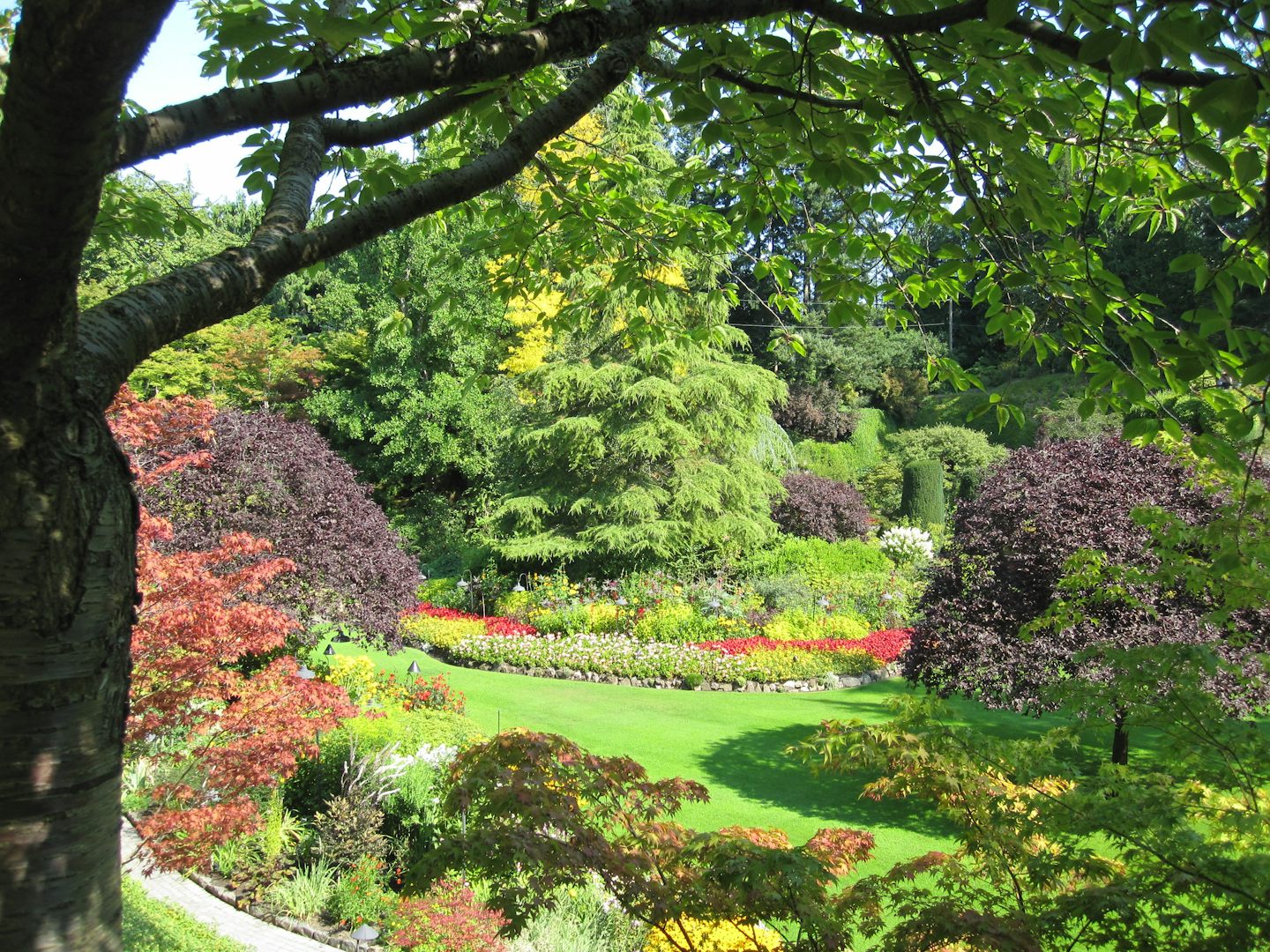 Bucharest Gardens in Victoria