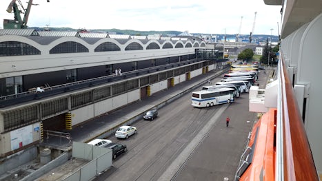 Shore excursion buses lining up