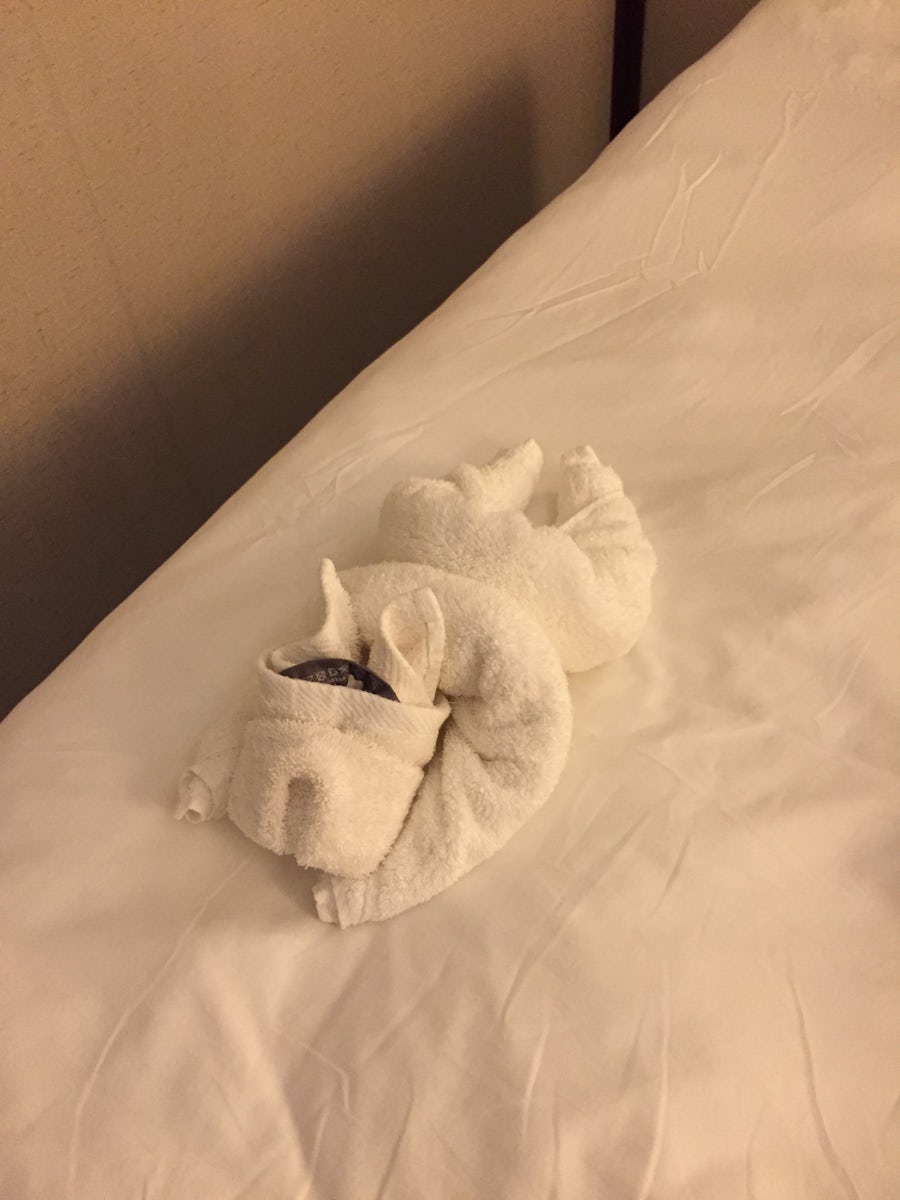 One of many towel animals in our cabin.