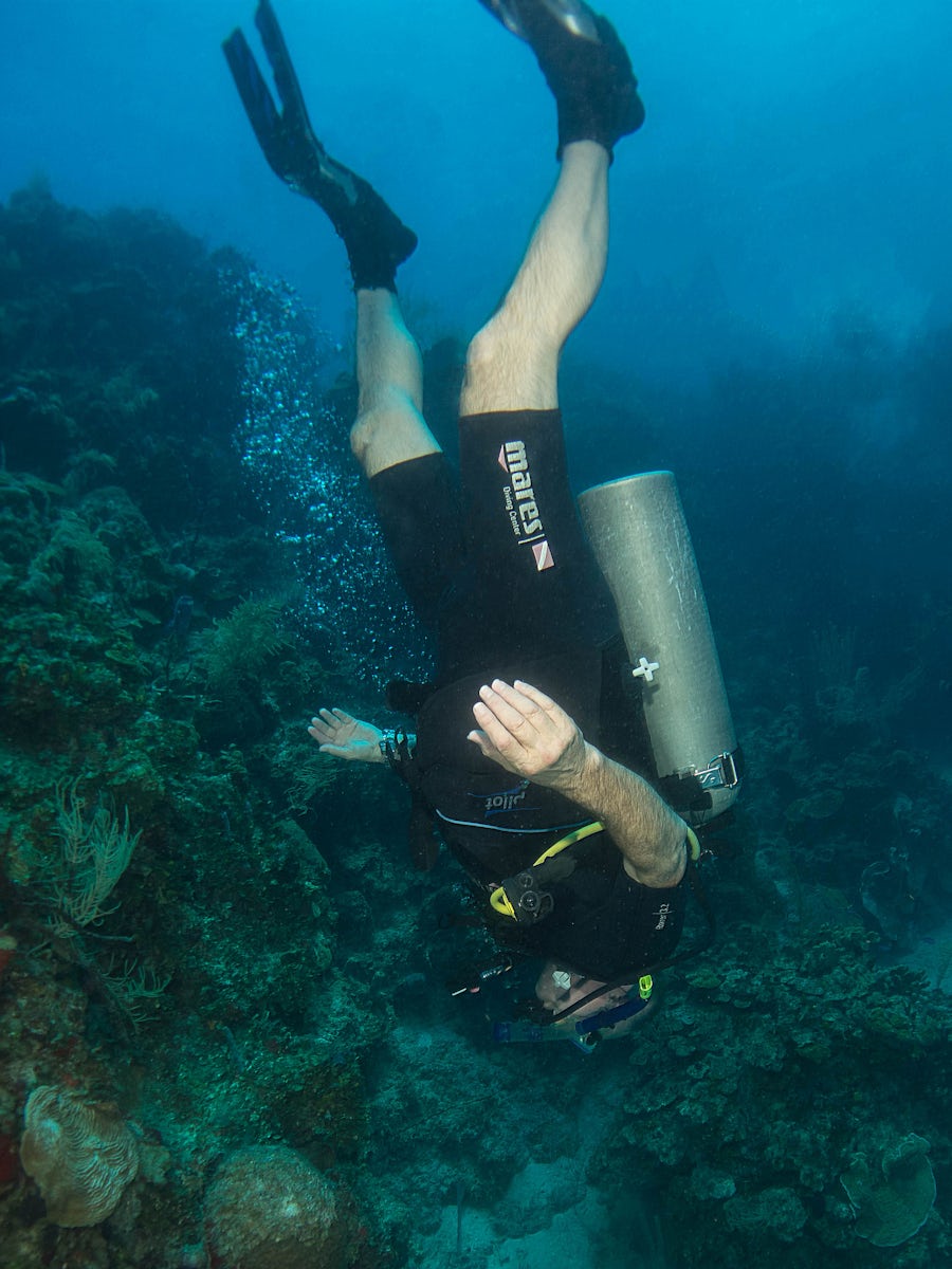 Scuba Diving in Cozumel... Sometimes it's just fun look at stuff when y