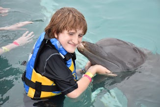 dolphin encounter