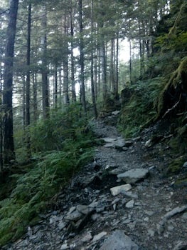Deer Mountain trail