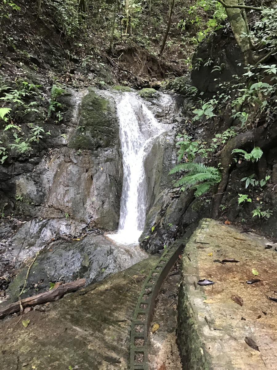 Waterfall from our tram ride in Costa Rica.  No animals but very informational.