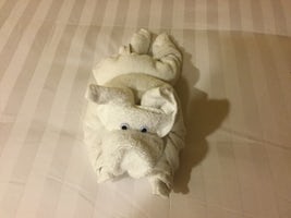 Towel animal a dog as our stewards new I liked dogs