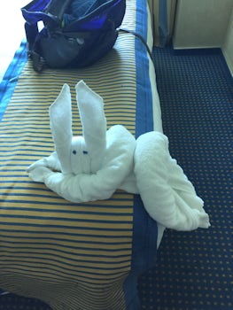 Towel animal. Oceanside stateroom deck 1